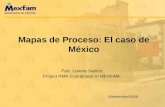 Mapas de Proceso: El caso de México Psic. Lorena Santos Project RMA Coordinator in MEXFAM. 5/september/2008.