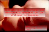Introducción al estudio del desarrollo prenatal de los sistemas de órganos Autor: Dr. Santiago Almeida Campos.