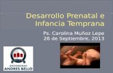 Ps. Carolina Muñoz Lepe 26 de Septiembre, 2013. Germinal Embrional Fetal.