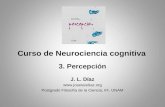 Curso de Neurociencia cognitiva 3. Percepción J. L. Díaz  Postgrado Filosofía de la Ciencia, IIF, UNAM.
