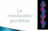 Tema 3: La revolución genética2 1.- La prehistoria de la genética: Selección artificial: Ganadería (selección mejores especímenes) Agricultura 2.- Primeras.