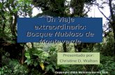 Un viaje extraordinario: Bosque Nubloso de Monteverde Presentado por: Christine D. Walton.