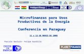 1 Microfinanzas para Usos Productivos de la Energía Conferencia en Paraguay 11 y 12 DE MARZO DE 2008 Pascale Geslain- Felipe Gordillo.