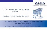 ACES 1 “ I er Congreso de Frutos Rojos ” Huelva, 25 de junio de 2015 “CLAVES PARA LA COMERCIALIZACIÓN DE LOS FRUTOS ROJOS” Aurelio del Pino González. Presidente.