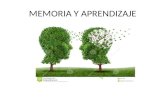 MEMORIA Y APRENDIZAJE. Memoria es la retención o almacenamiento de los conocimientos aprendidos, su mantenimiento y la posibilidad de recuperarlos en.