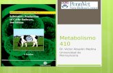 Metabolismo 410 Dr. Victor Absalón Medina Universidad de Pennsylvania.