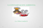 LA CONTAMINACION AMBIENTAL Lic. Otilia Castillo B.