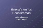 Energía en los Ecosistemas Arturo Laguna Julián Pavón.