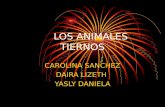 LOS ANIMALES TIERNOS CAROLINA SANCHEZ DAIRA LIZETH YASLY DANIELA.