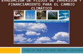 EVALUACIÓN DE FLUJOS DE INVERSIÓN Y FINANCIAMIENTO PARA EL CAMBIO CLIMÁTICO Grupo del PNUD sobre Medio Ambiente y Desarrollo.