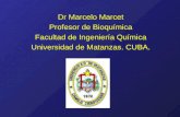 Dr Marcelo Marcet Profesor de Bioquímica Facultad de Ingeniería Química Universidad de Matanzas. CUBA.