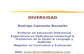 1 DIVERSIDAD Rodrigo Caamaño Basoalto Profesor en Educación Diferencial Especialista en Deficiencia Intelectual & Trastornos de la Visión & Lenguaje y.