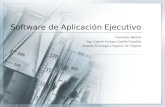 Software de Aplicación Ejecutivo Conceptos Básicos Ing. Gabriel Enrique Castillo González Instituto Tecnológico Superior de Chapala.