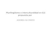 Plurilingüismo e interculturalidad en ELE propuesta por ADOBEA NII OWOO.