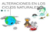 ALTERACIONES EN LOS CICLOS NATURALES. ¿Cómo se pueden alterar los ciclos biogeoquímicos? ¿Qué crees que ocurre con los ciclos naturales cuando el hombre.