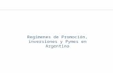 Regímenes de Promoción, inversiones y Pymes en Argentina.