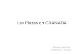 Las Plazas en GRANADA Alejandro Salas Ruiz Urbanística I – Grupo A.