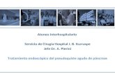 Ateneo Interhospitalario Servicio de Cirugía Hospital J. B. Iturraspe Jefe Dr. A. Pierini Tratamiento endoscópico del pseudoquiste agudo de páncreas.