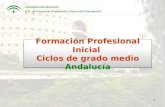 1 Formación Profesional Inicial Ciclos de grado medio Andalucía Formación Profesional Inicial Ciclos de grado medio Andalucía.