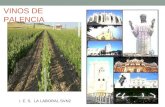 VINOS DE PALENCIA I. E. S. LA LABORAL SVN2. INTRODUCCION En el mes de junio del año 2002 salió al mercado el primer vino de Palencia embotellado en el.