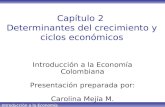 Introducción a la Economía Colombiana Capítulo 2 Determinantes del crecimiento y ciclos económicos Introducción a la Economía Colombiana Presentación preparada.