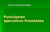 Funciones ejecutivo-frontales Curso: Neuropsicología.