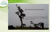Situación actual “Degradación de Ecosistemas” Restauración Ecológica Proceso de AYUDAR al restablecimiento de un ecosistema que se ha degradado, dañado.