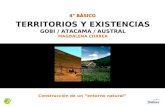 TERRITORIOS Y EXISTENCIAS GOBI / ATACAMA / AUSTRAL MAGDALENA CORREA 4° BÁSICO Construcción de un “entorno natural”