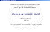 Taller Intersectorial sobre Protección Social y Empleo OEA – CISS – STPS - SEDESOL México, D.F., 10 de diciembre de 2014 Thomas Wissing Director Oficina.
