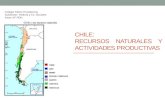 CHILE: RECURSOS NATURALES Y ACTIVIDADES PRODUCTIVAS Colegio SSCC Providencia Subsector: Historia y Cs. Sociales Nivel: IIIº PDH.