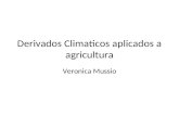 Derivados Climaticos aplicados a agricultura Veronica Mussio.