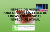 INSPECCION VISUAL PODA DE ARBOLES CERCA DE LINEAS ENERGIZADAS INSPECCION VISUAL.