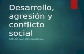 Desarrollo, agresión y conflicto social CARLOS IVÁN MOLINA BULLA.