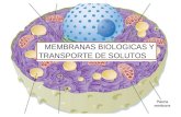 MEMBRANAS BIOLOGICAS Y TRANSPORTE DE SOLUTOS. LA MEMBRANA PLASMATICA.