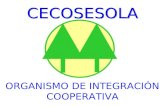 CECOSESOLA ORGANISMO DE INTEGRACIÓN COOPERATIVA Fundada en 1967 NOS INTEGRAMOS Servicio Funerario Apoyo Mutuo Escuela Cooperativa Red de Salud Otros.