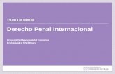 Derecho Penal Internacional Universidad Nacional del Comahue Dr Alejandro Chehtman.