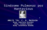 Síndrome Pulmonar por Hantavirus ANLIS “Dr. C. G. Malbrán” Bioq. Gabriela Braidot Bioq. Lorena Ibarra Bioq. Estefanía Biondi.