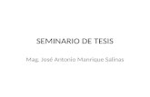 SEMINARIO DE TESIS Mag. José Antonio Manrique Salinas.