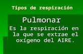 Tipos de respiración Pulmonar Es la respiración en la que se extrae el oxígeno del AIRE.