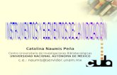 Catalina Naumis Peña Centro Universitario de Investigaciones Bibliotecológicas UNIVERSIDAD NACIONAL AUTÓNOMA DE MÉXICO c.e.: naumis@servidor.unam.mx.