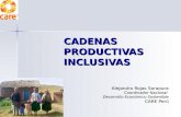 CADENAS PRODUCTIVAS INCLUSIVAS Alejandro Rojas Sarapura Coordinador Nacional Desarrollo Económico Sostenible CARE Perú.