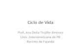Ciclo de Vida Prof. Ana Delia Trujillo-Jiménez Univ. Interamericana de PR Recinto de Fajardo.