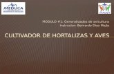 MODULO #1: Generalidades de avicultura Instructor: Bernardo Díaz Mejía.