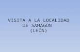VISITA A LA LOCALIDAD DE SAHAGÚN (LEÓN). COMARCA TIERRA DE SAHAGÚN Sahagún es un municipio y villa española situada al sureste de la provincia de León,