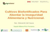 Cultivos Biofortificados Para Abordar la Inseguridad Alimentaria y Nutricional. Sec. Educación del Cauca Sayda Milena Pico Fonseca.