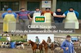 CREA Navarro Análisis de Remuneración del Personal.