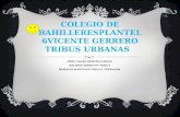 COLEGIO DE BAHILLERESPLANTEL 6VICENTE GERRERO TRIBUS URBANAS PROF. LAURA ORDUÑA GARCIA SOLARES ARREGUIN YESICA MORALES MARTINEZ URSULA FERNANDA.