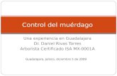 Una experiencia en Guadalajara Dr. Daniel Rivas Torres Arborista Certificado ISA MX-0001A Control del muérdago Guadalajara, Jalisco, diciembre 5 de 2009.
