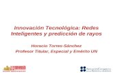 Innovación Tecnológica: Redes Inteligentes y predicción de rayos Horacio Torres-Sánchez Profesor Titular, Especial y Emérito UN.