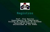 Registros Prof. Flor Narciso Departamento de Computación Escuela de Ingeniería de Sistemas Facultad de Ingeniería Universidad de Los Andes.